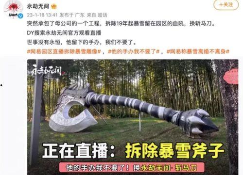 最新爆料暴雪事件视频播放,揭秘背后惊人真相  第3张